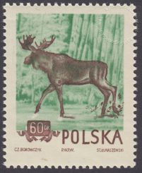 Zwierzęta chronione - 744B