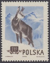 Zwierzęta chronione - 745B
