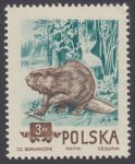 Zwierzęta chronione - 746B