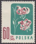 Kwiaty chronione - 876