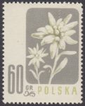 Kwiaty chronione - 878