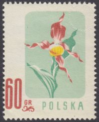 Kwiaty chronione - 879