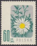 Kwiaty chronione - 880
