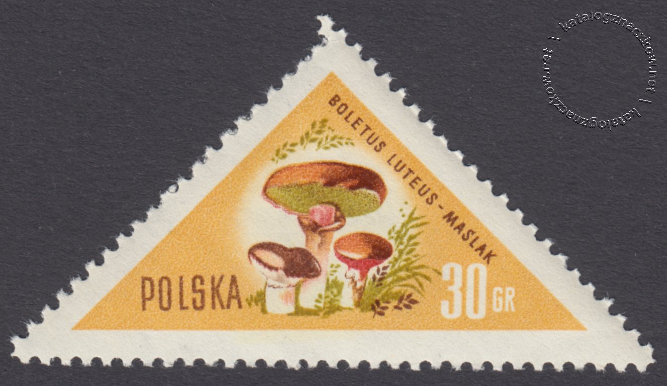 Grzyby polskie znaczek nr 949