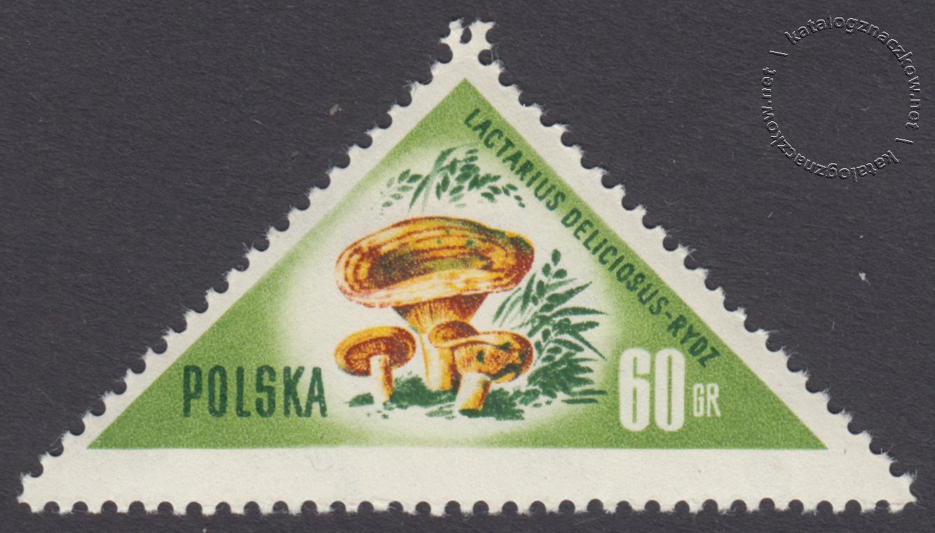 Grzyby polskie znaczek nr 951