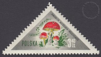 Grzyby polskie - 954