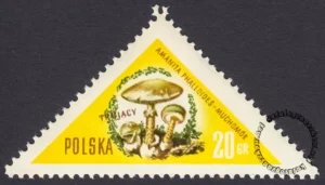 Grzyby polskie - 948