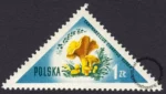 Grzyby polskie - 952