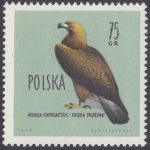 Ptaki chronione w Polsce - 1068