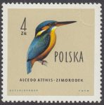 Ptaki chronione w Polsce - 1071