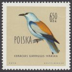Ptaki chronione w Polsce - 1073