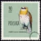 Ptaki chronione w Polsce - 1069