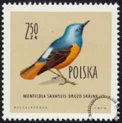 Ptaki chronione w Polsce - 1070