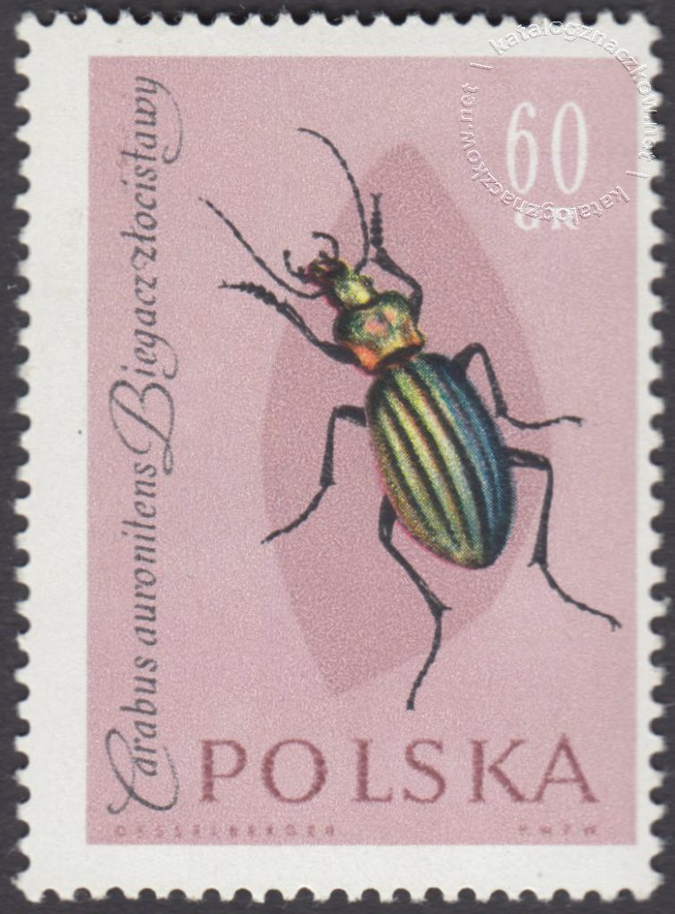 Owady Chronione W Polsce Prezentacja Owady chronione - 1133 - Katalog Polskich Znaczków Pocztowych