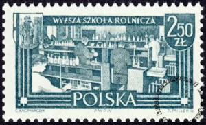 Polskie Ziemie Północne znaczek nr 1176