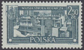 Polskie Ziemie Północne - 1176