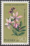 Rośliny chronione - 1181