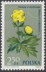 Rośliny chronione - 1186