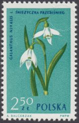 Rośliny chronione - 1187