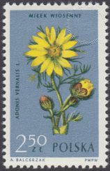 Rośliny chronione - 1188