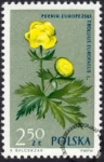 Rośliny chronione znaczek nr 1186