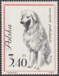 Rasy psów - 1233