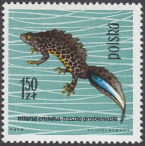 Gady i płazy - 1252