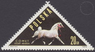 Konie polskie - 1299