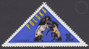 Konie polskie - 1300