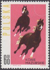 Konie polskie - 1303