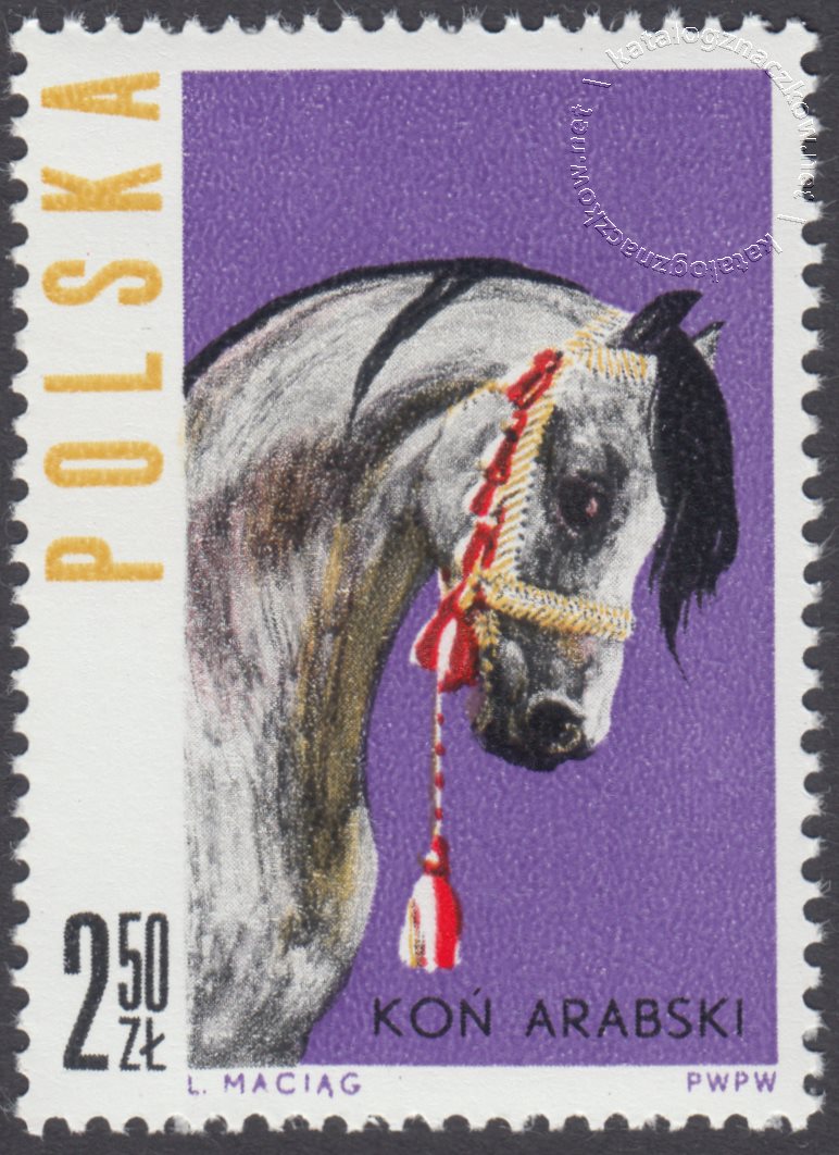 Konie polskie znaczek nr 1306