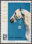 Konie polskie - 1308