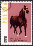 Konie polskie znaczek nr 1305