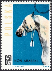 Konie polskie znaczek nr 1308