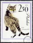 Koty znaczek numer 1334