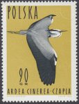 Ptaki wodne - 1346