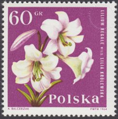 Kwiaty ogrodowe - 1396