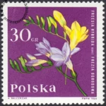 Kwiaty ogrodowe znaczek numer 1393
