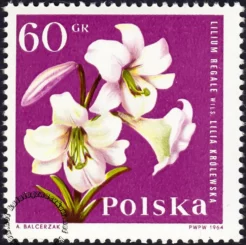 Kwiaty ogrodowe znaczek numer 1396