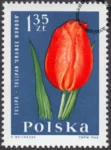 Kwiaty ogrodowe znaczek numer 1398