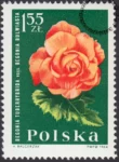 Kwiaty ogrodowe znaczek numer 1400