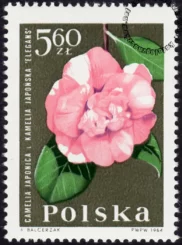 Kwiaty ogrodowe znaczek numer 1403