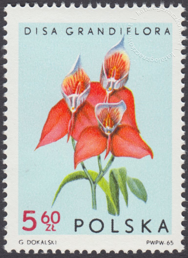 Storczyki znaczek nr 1470