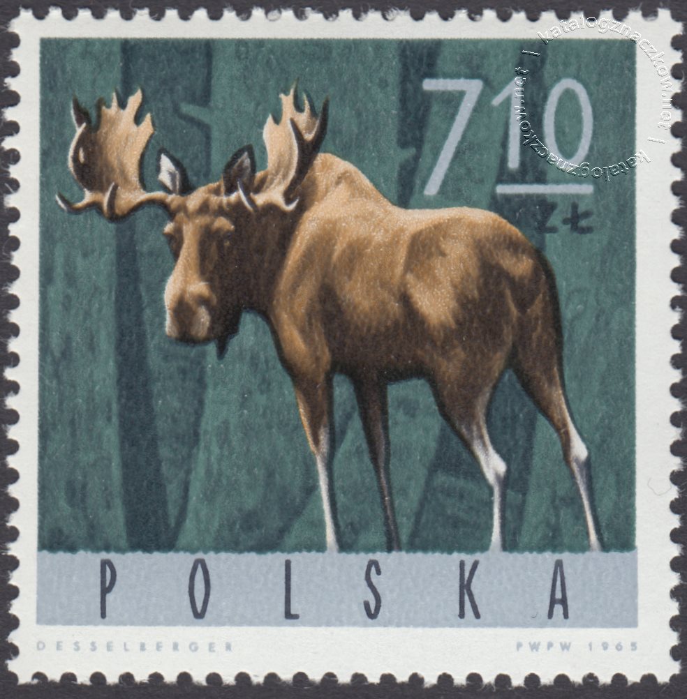 Zwierzęta leśne znaczek nr 1494