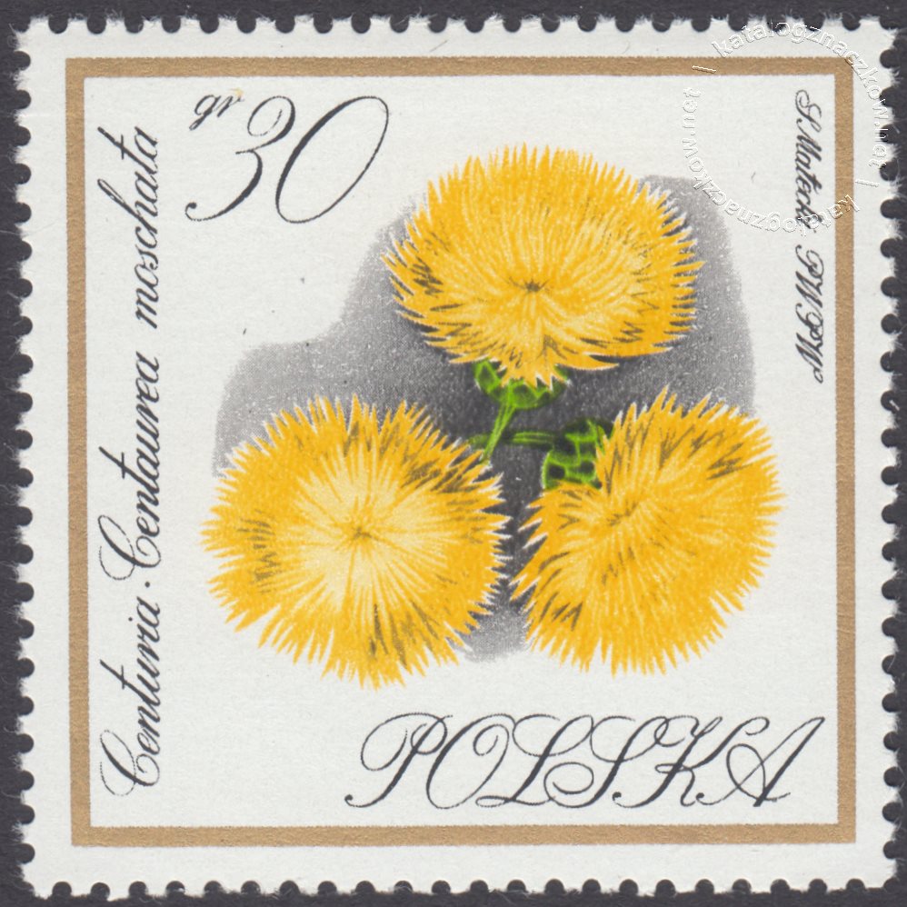 Kwiaty ogrodowe znaczek nr 1550