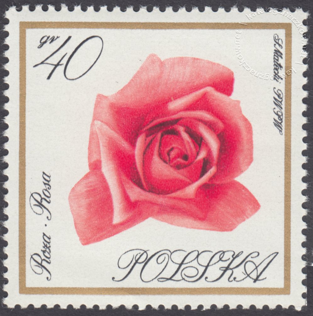 Kwiaty ogrodowe znaczek nr 1551