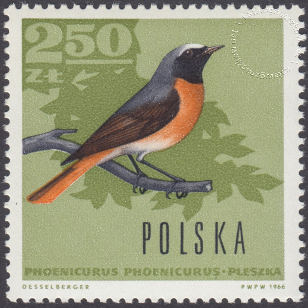 Ptaki leśne znaczek nr 1575