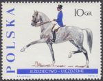 Jeździectwo - 1592