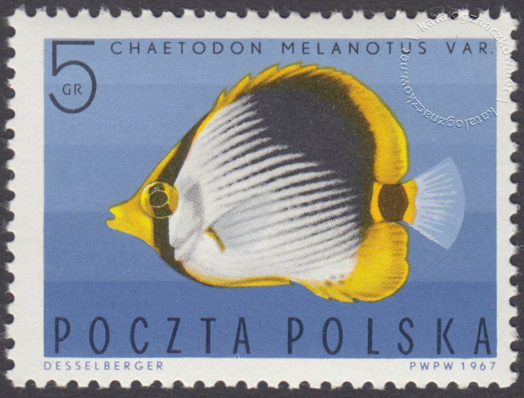 Ryby egzotyczne znaczek nr 1600
