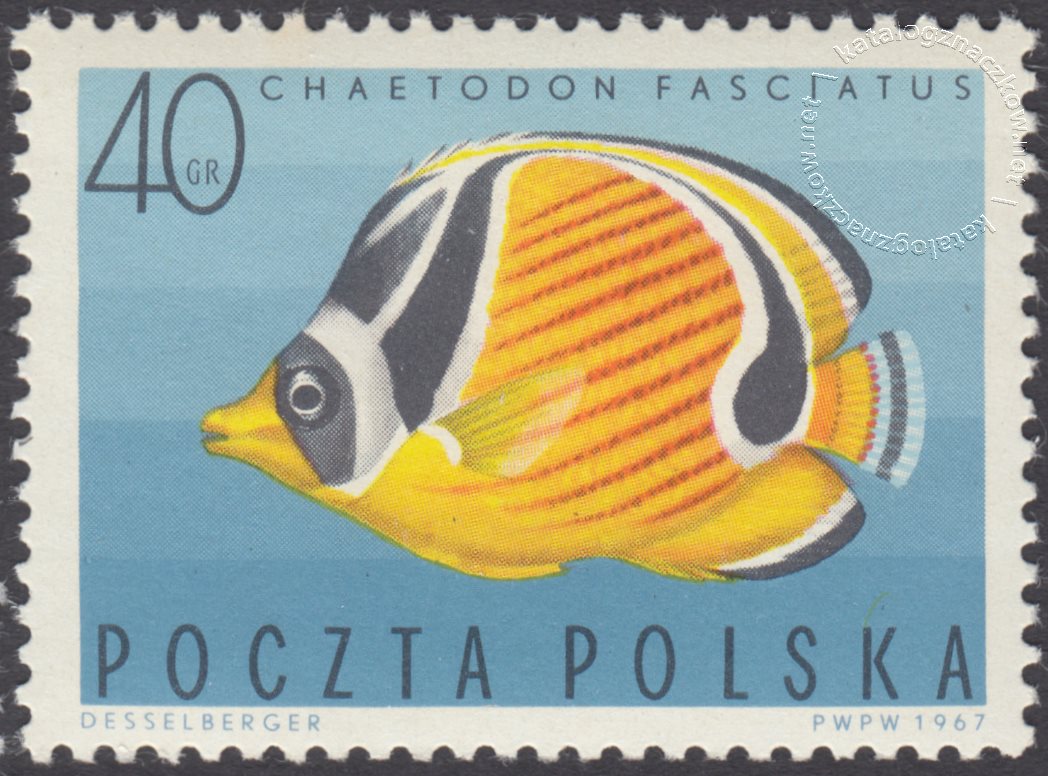 Ryby egzotyczne znaczek nr 1602
